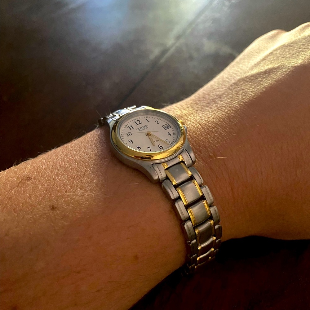 Silver and Gold Citizens Watch